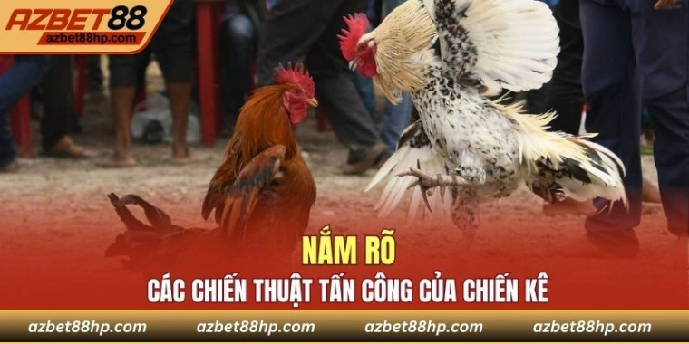 Biết cách tấn công hợp lý
