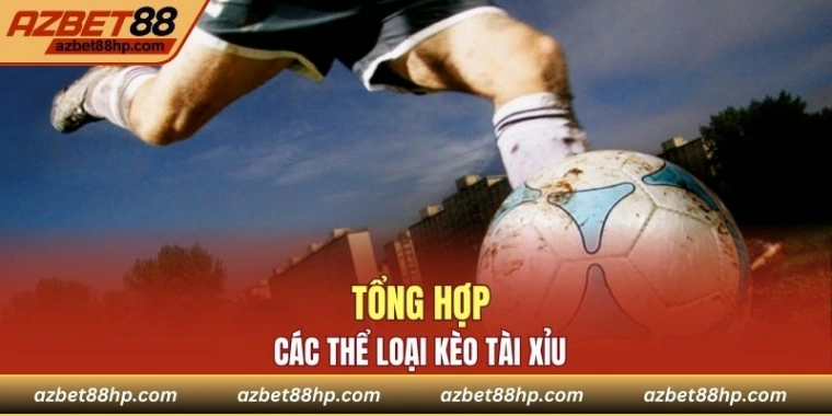 Chơi theo kiểu đánh tài xỉu