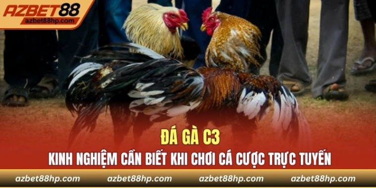 Đá Gà C3 - Kinh Nghiệm Cần Biết Khi Chơi Cá Cược Trực Tuyến