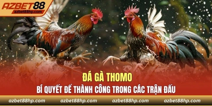 Đá Gà Thomo - Bí Quyết Để Thành Công Trong Các Trận Đấu