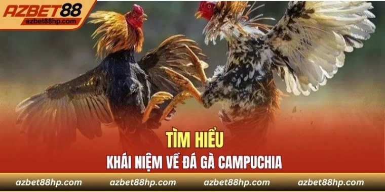 Đôi nét về lịch sử đá gà Campuchia