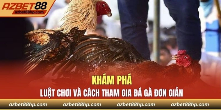 Khám phá về luật chơi và cách tham gia đá gà đơn giản