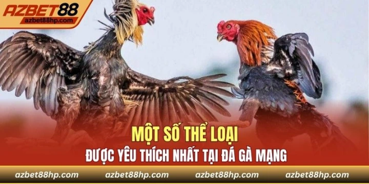 Một số thể loại được yêu thích nhất tại đá gà Azbet88