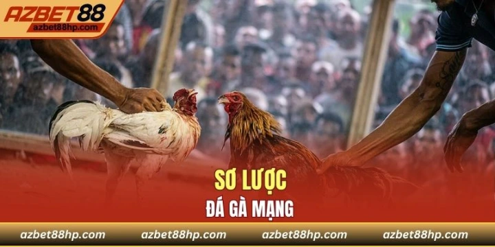 Sơ lược đá gà Azbet88