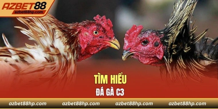 Tìm hiểu về đá gà C3