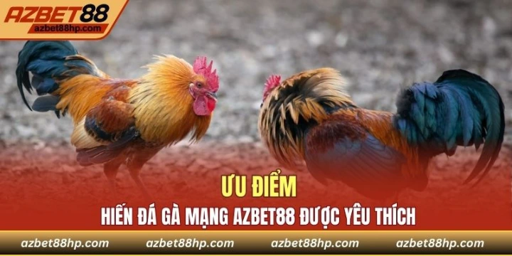 Ưu điểm khiến đá gà Azbet88 được yêu thích